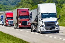 Under the broad category of ‘commercial trucks’ are a number of different types of vehicles that are used by businesses for transportation. Under this